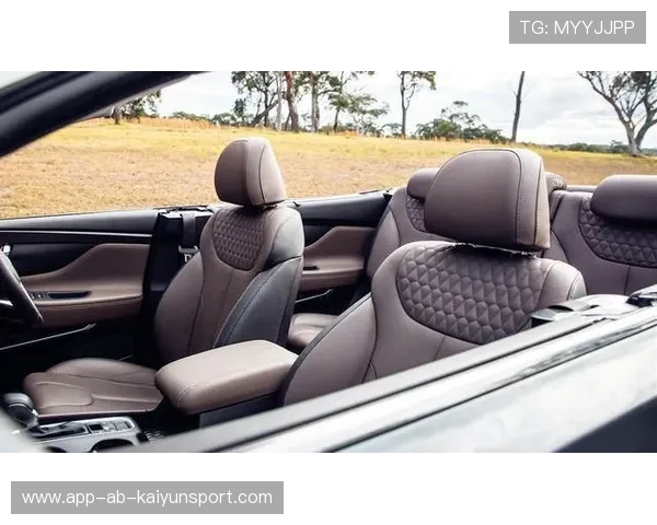 转会市场黑马浮现，低价高效引擎成俱乐部新宠